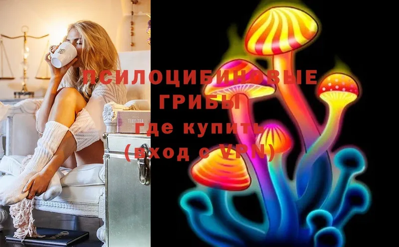 Псилоцибиновые грибы Magic Shrooms  закладка  блэк спрут зеркало  Усть-Кут 